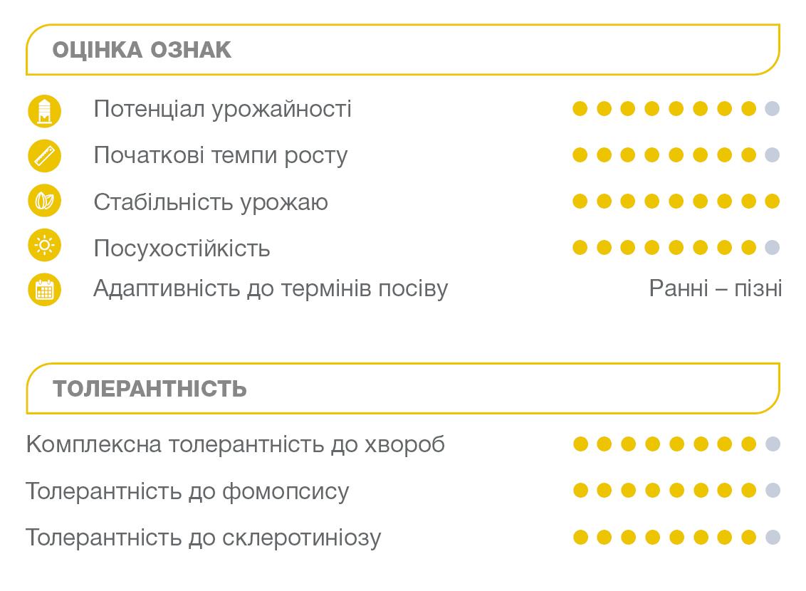 Оцінка ознак Магістер