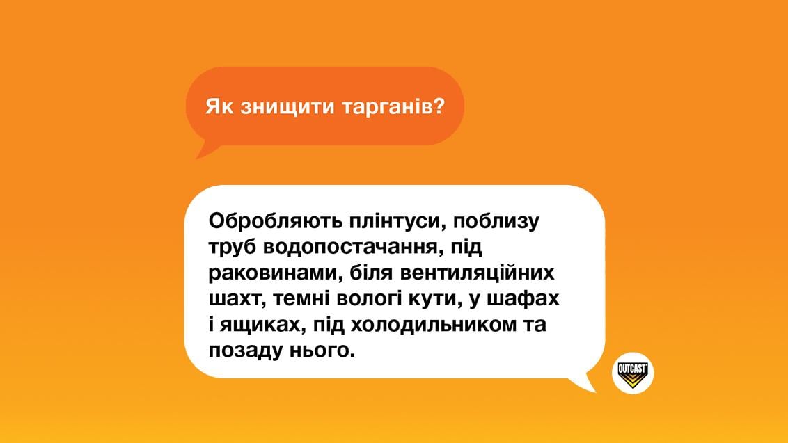 Як знищити тарганів