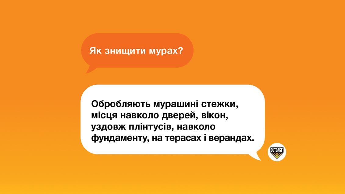 Як знищити мурах