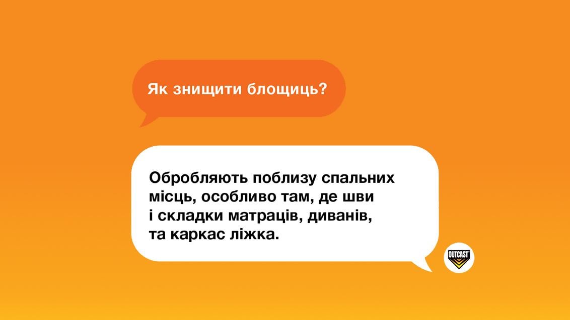Як знищити блощиць