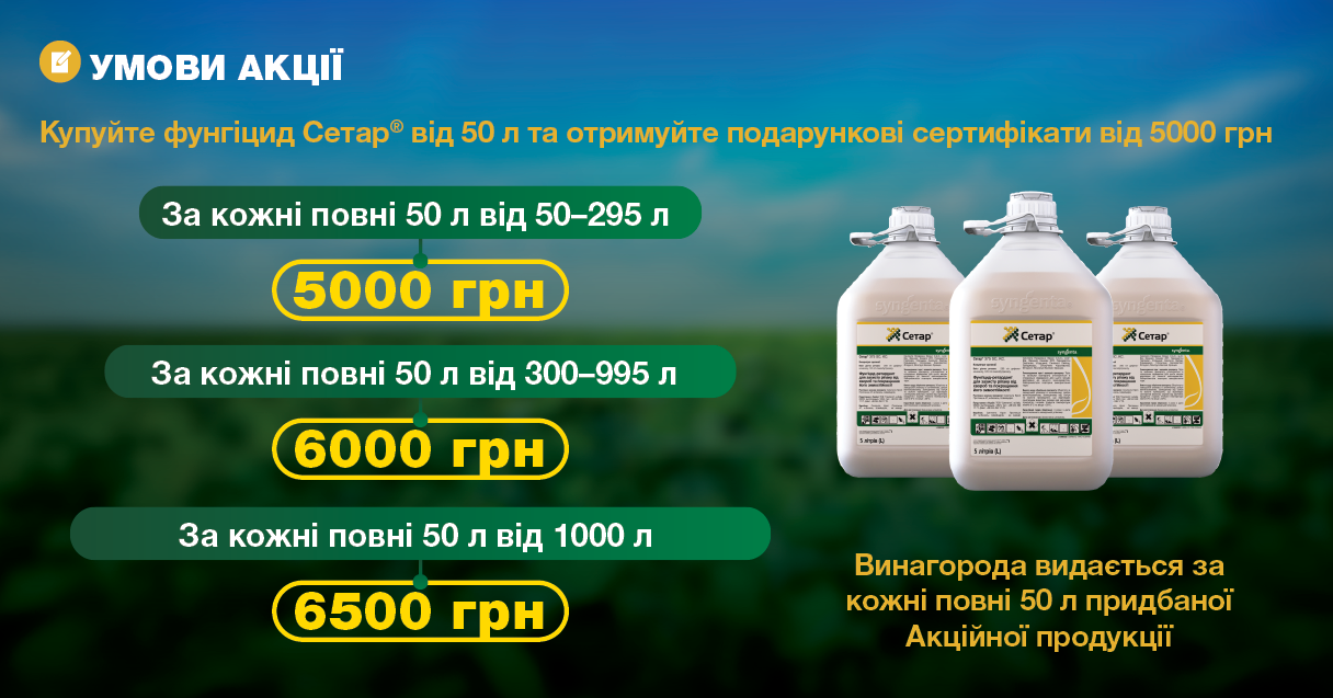 Акція сетар 2027 умови