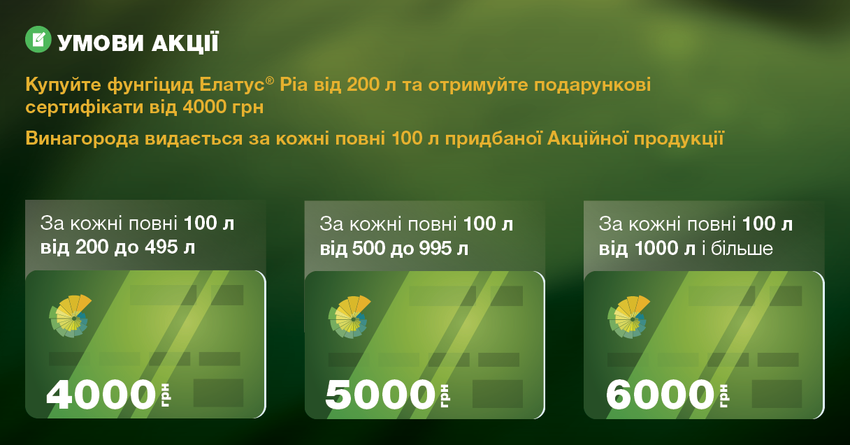 Акція елатус ріа 2027 умови