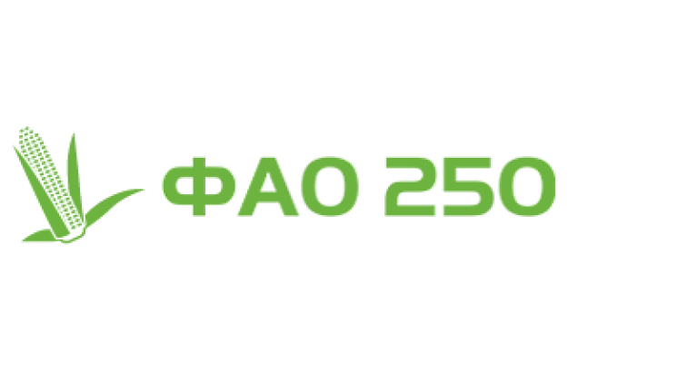 ФАО 250