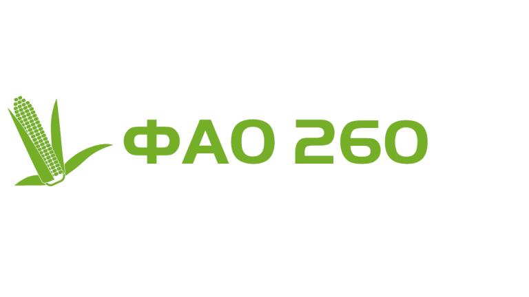 Амфора ФАО 260