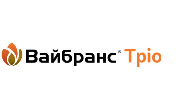 Вайбранс Тріо