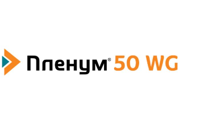 Пленум