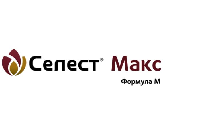 Селест Макс