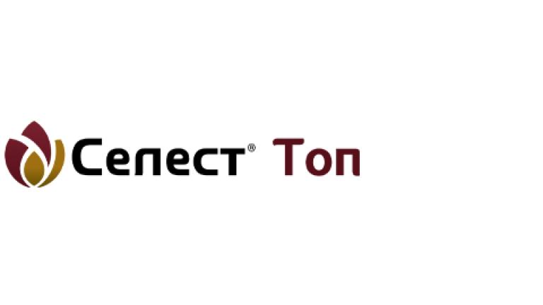 Селест Топ