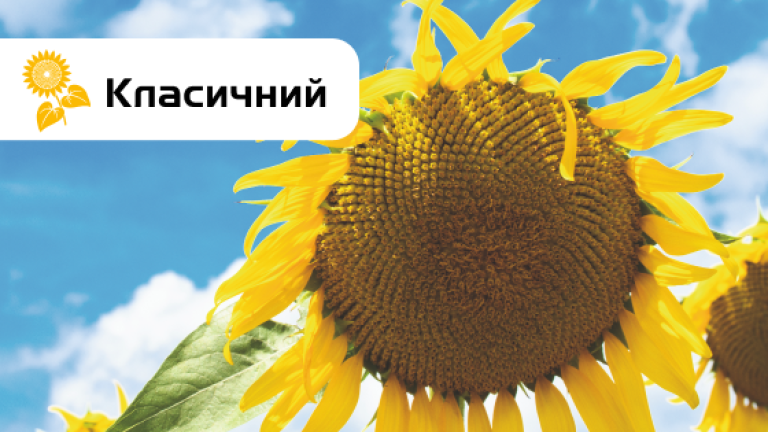 luminos